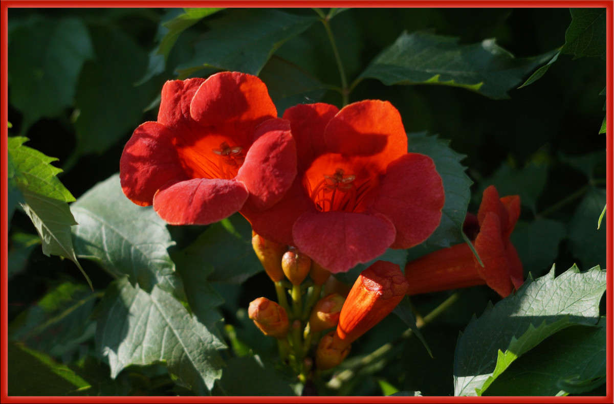 �� �������� ����� ����� ������  �� PhotoGeek.ru #������ ��� �������