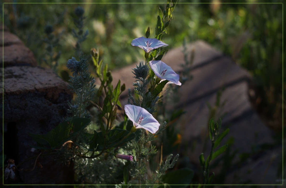 � ���������� ������ ����� ������  �� PhotoGeek.ru #������ ��� �������