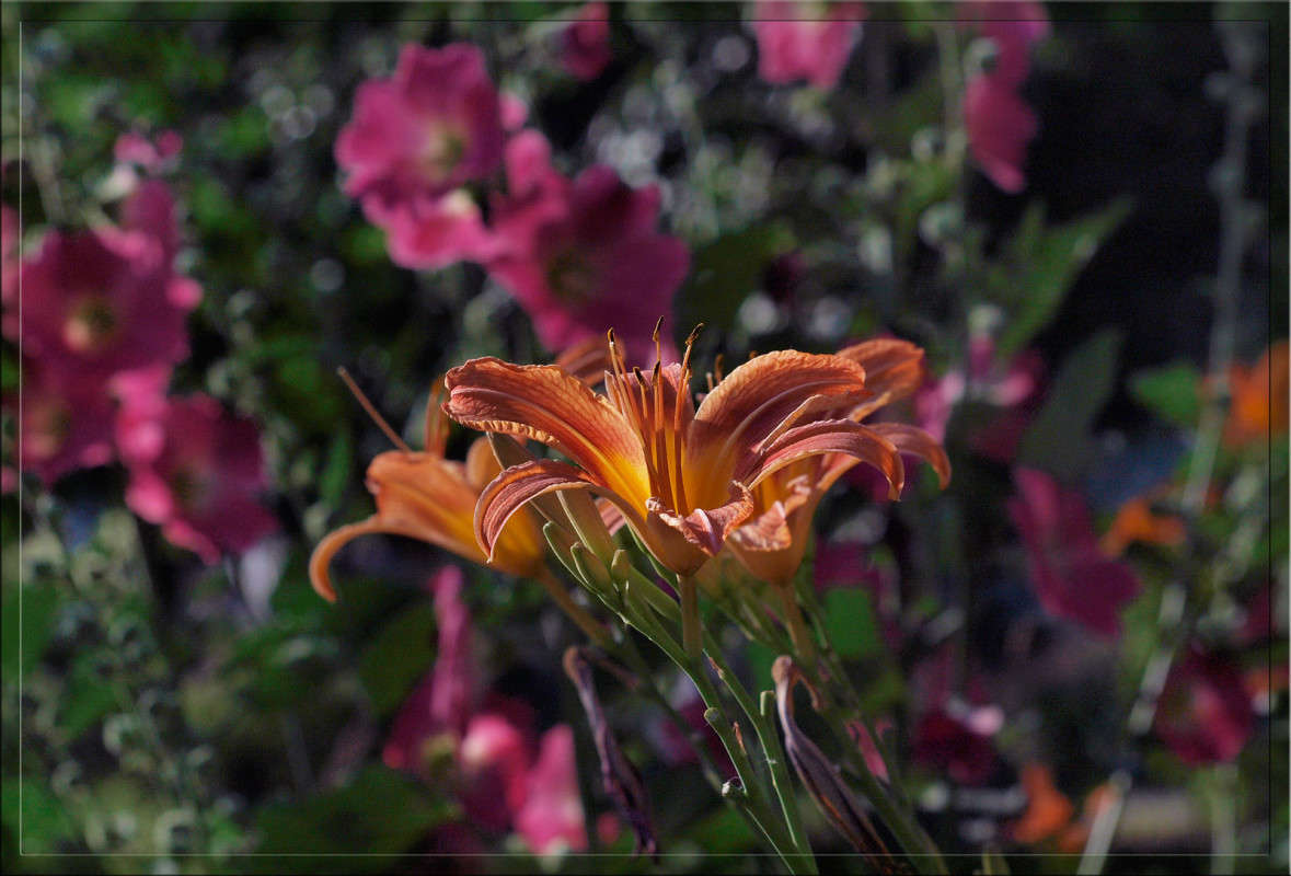 123 ����� ������  �� PhotoGeek.ru #������ ��� �������