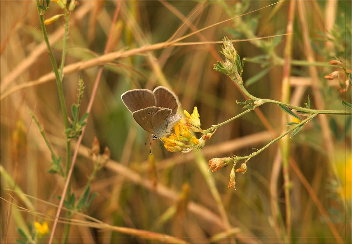 ��������� ����� ������  �� PhotoGeek.ru #�����