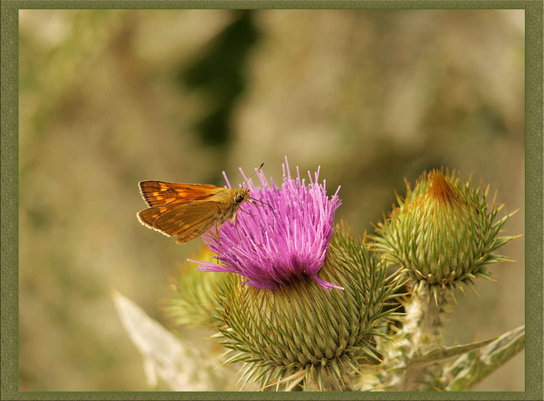 ������ �� �� ������� ����� ������  �� PhotoGeek.ru #�����