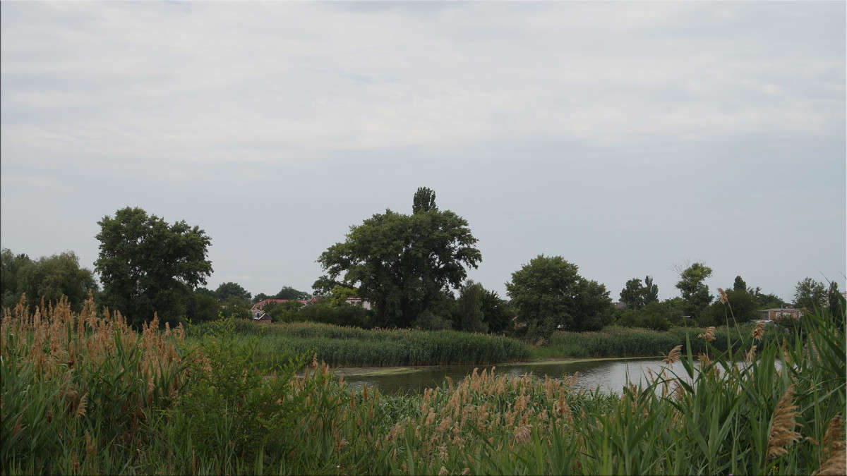 ������� �� ����� ������  �� PhotoGeek.ru #�����