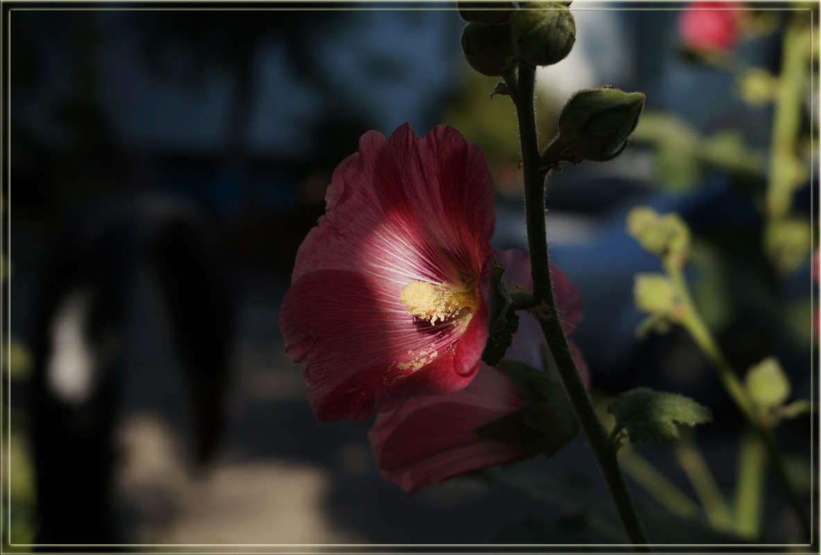 ������ ����� ������  �� PhotoGeek.ru #������ ��� �������