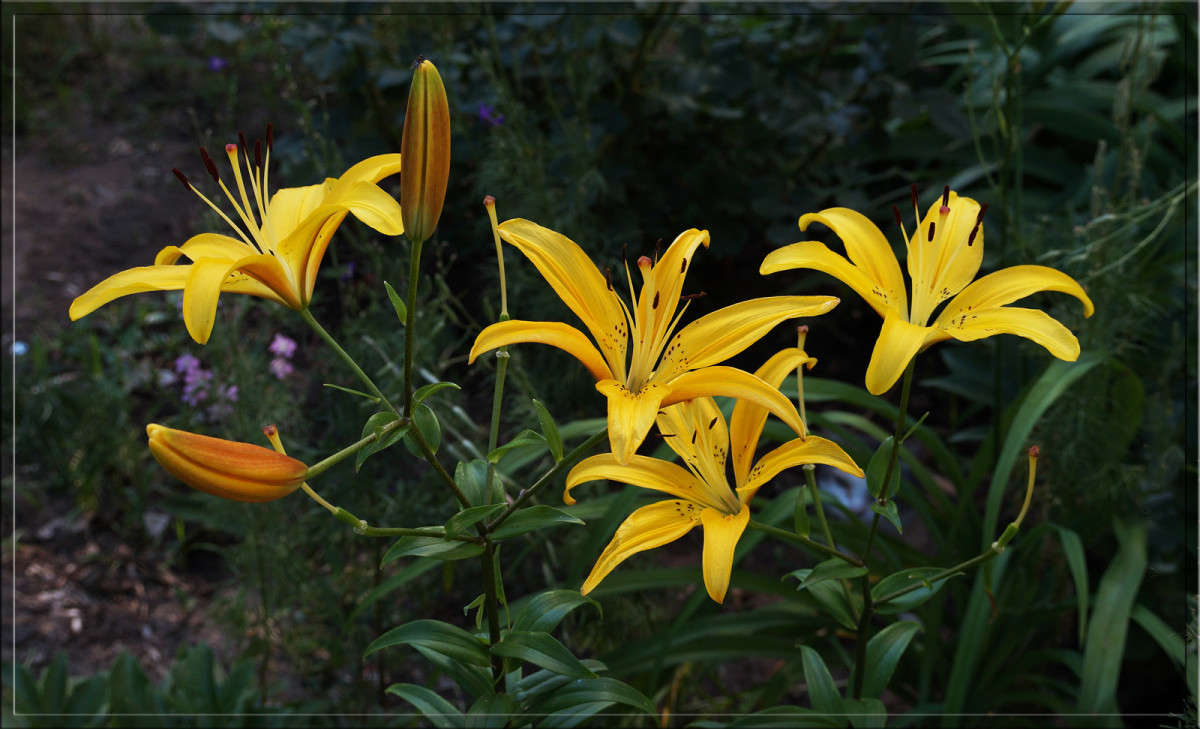 ����� 3 ����� ������  �� PhotoGeek.ru #������ ��� �������