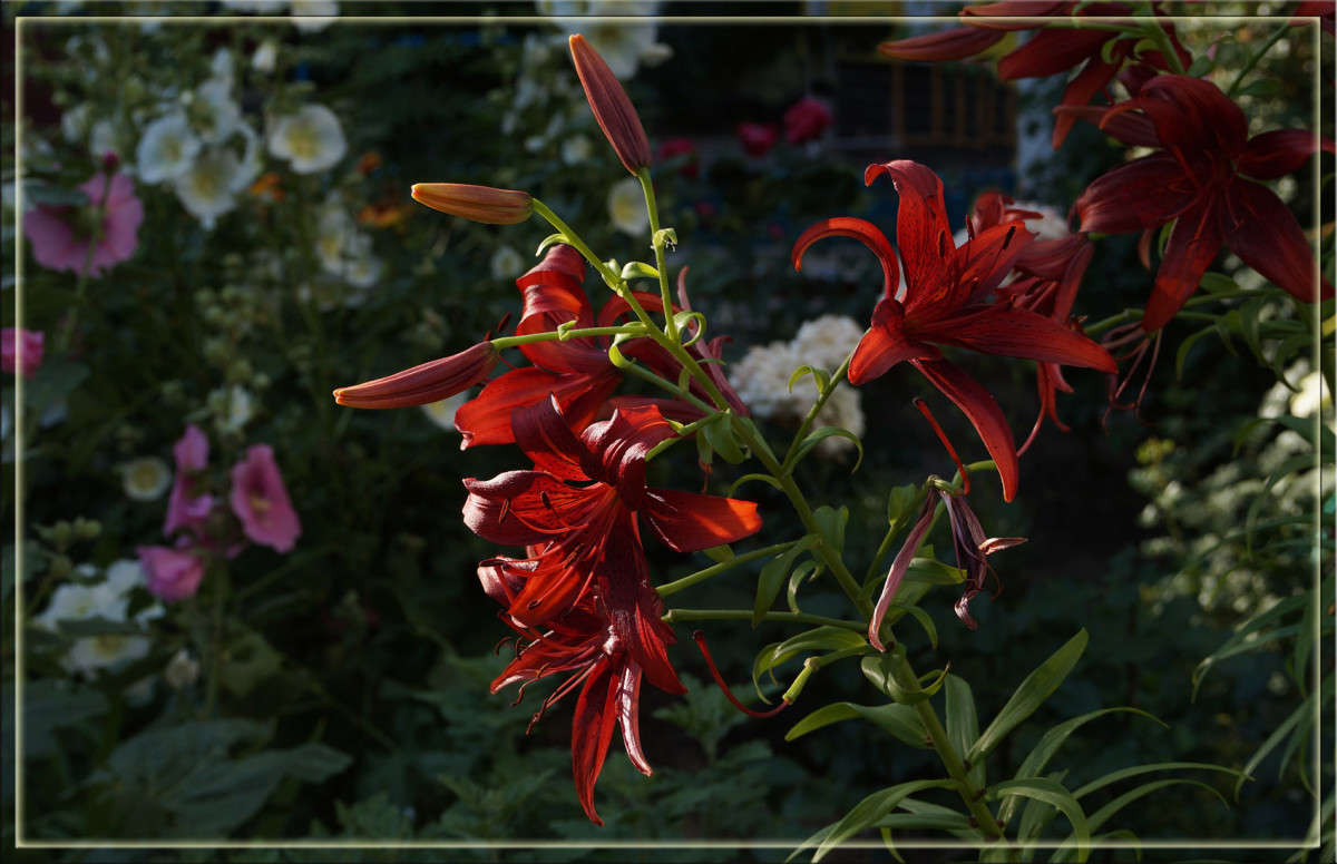 ����� 2 ����� ������  �� PhotoGeek.ru #������ ��� �������