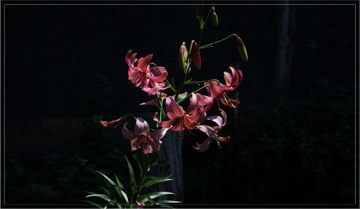 ����� ����� ������  �� PhotoGeek.ru #������ ��� �������