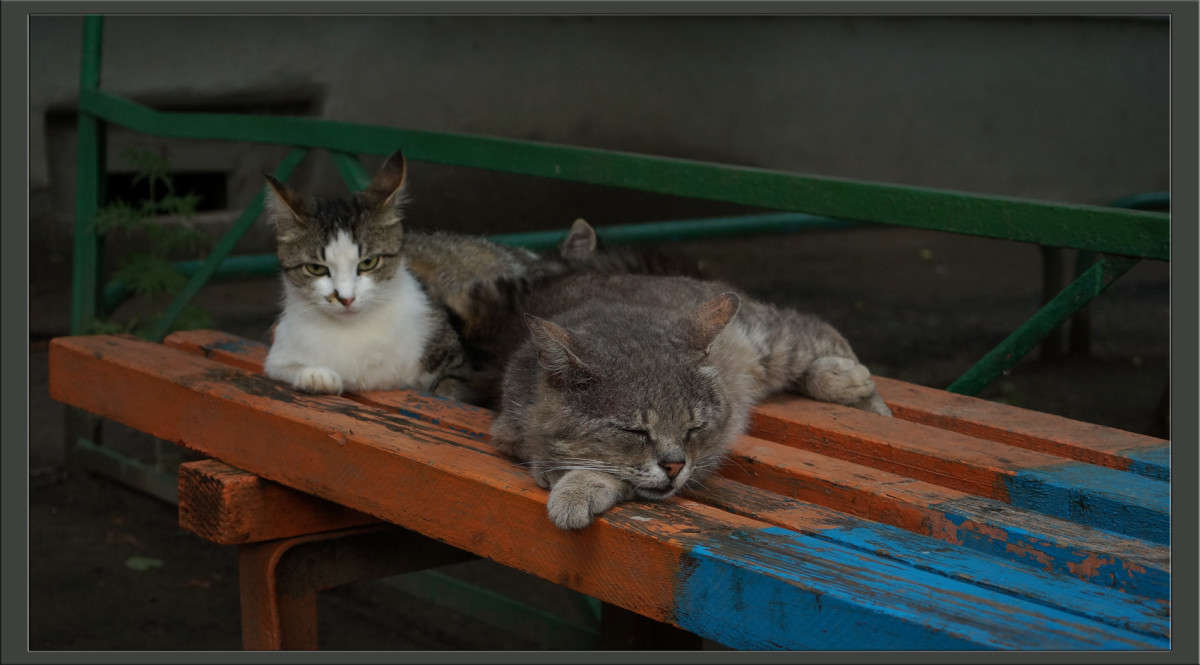 ������������� ����� ����� ������  �� PhotoGeek.ru #�������� ���