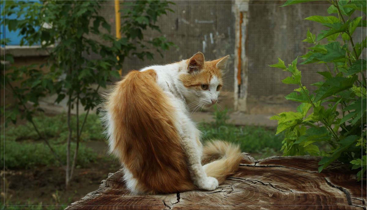 ���������� ����� ������  �� PhotoGeek.ru #�������� ���