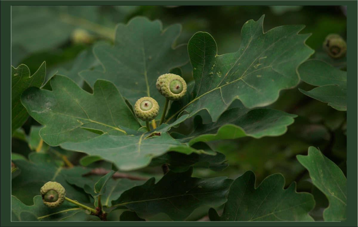 ����������� ����� ������  �� PhotoGeek.ru #������ ��� �������