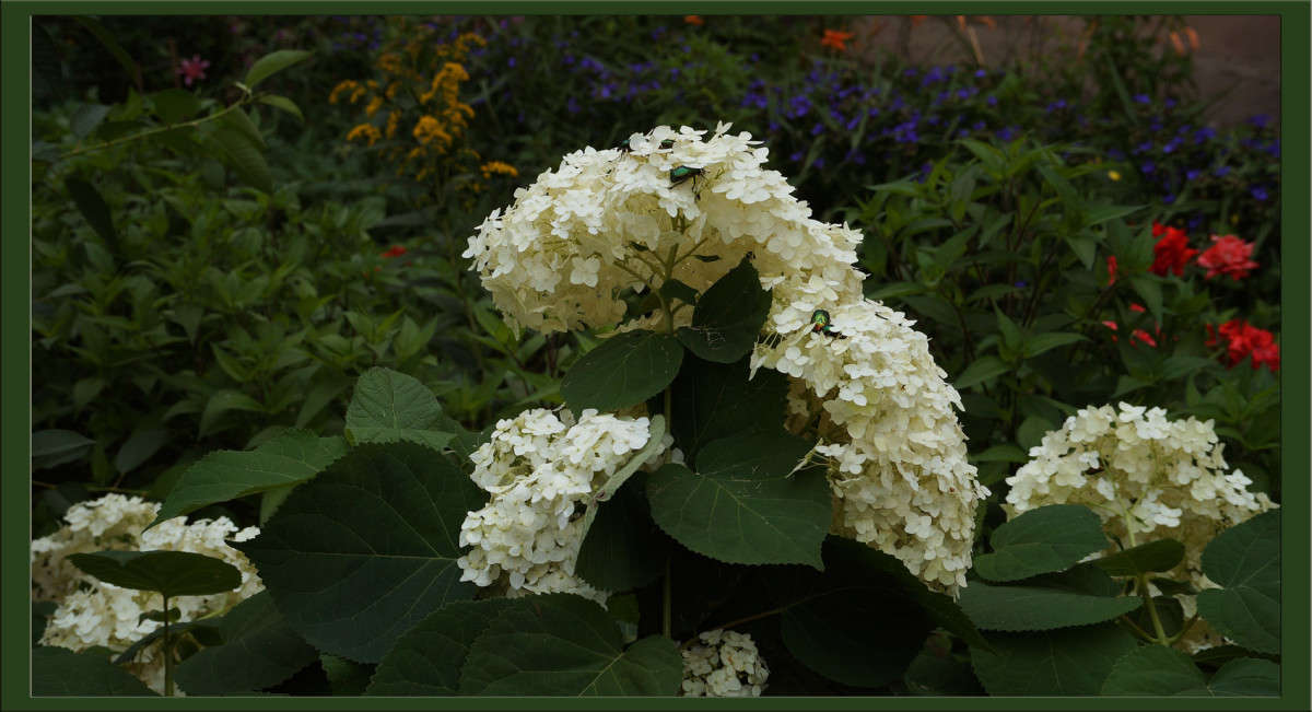 ���� ��������� ����� ������  �� PhotoGeek.ru #������ ��� �������