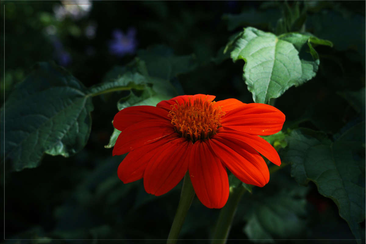 �������� ����� ������  �� PhotoGeek.ru #������ ��� �������