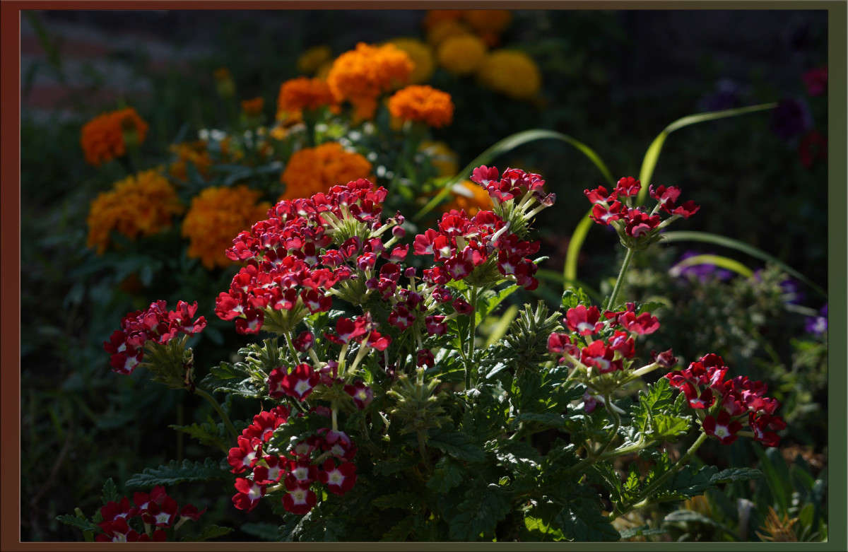 �� �������� � ���������� ����� ������  �� PhotoGeek.ru #������ ��� �������
