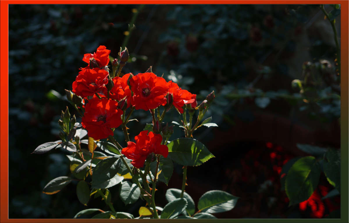 ������ ������� ����� ������  �� PhotoGeek.ru #������ ��� �������