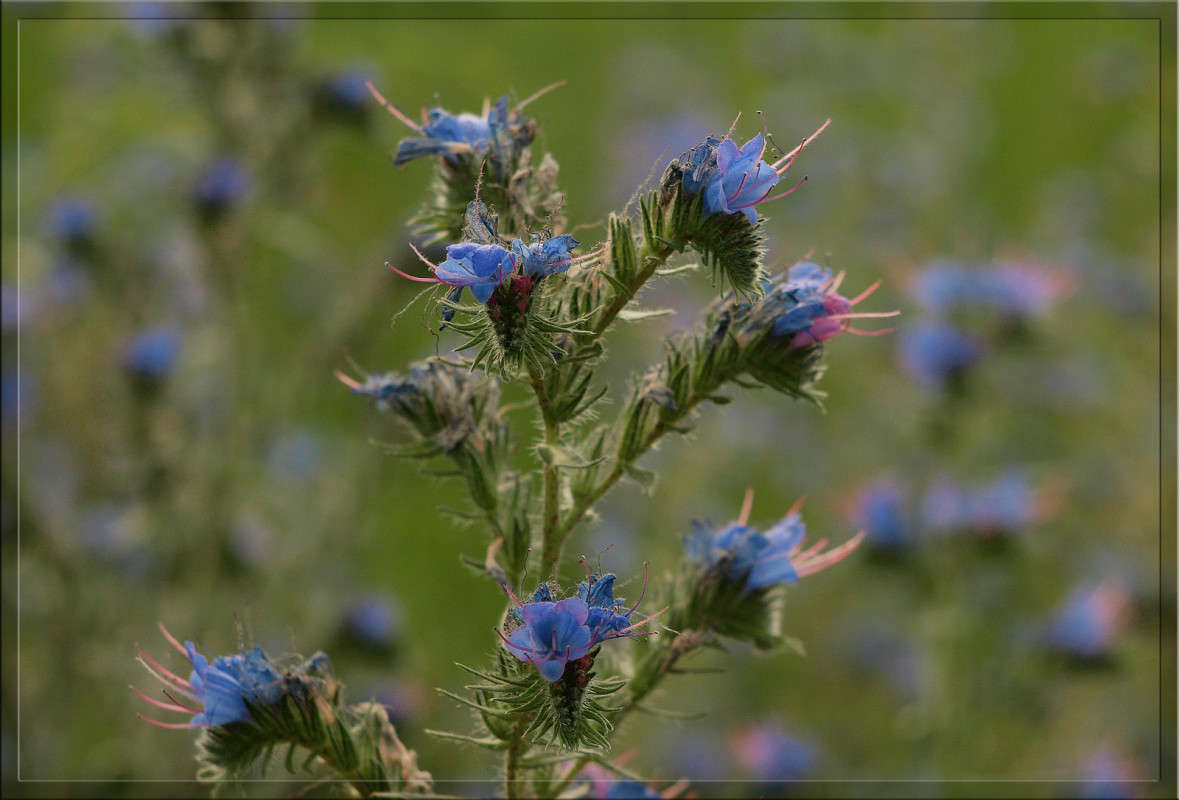 � ������ ���� 7 ����� ������  �� PhotoGeek.ru #������ ��� �������