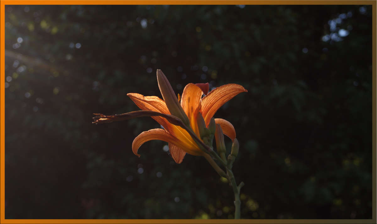 �� ����� 3 ����� ������  �� PhotoGeek.ru #������ ��� �������