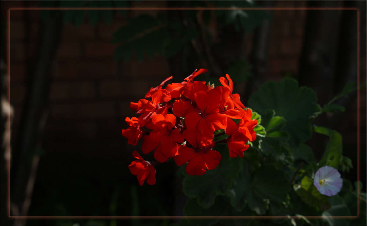 �������� �� ������� ����� ������  �� PhotoGeek.ru #������ ��� �������