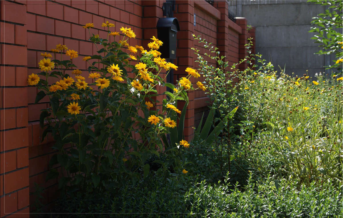 � ������� ����� ������  �� PhotoGeek.ru #�����