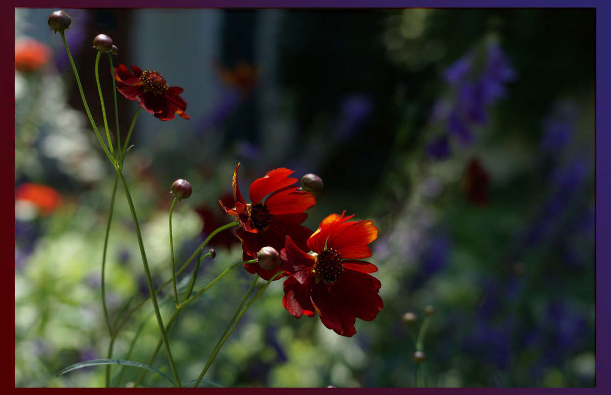 �� ����� 4 ����� ������  �� PhotoGeek.ru #������ ��� �������