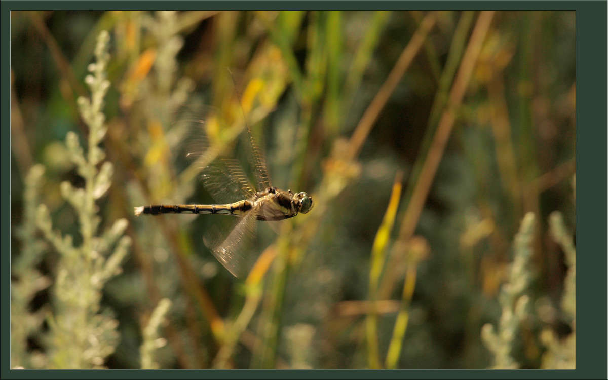 ����� �������� ����� ������  �� PhotoGeek.ru #�������� ���