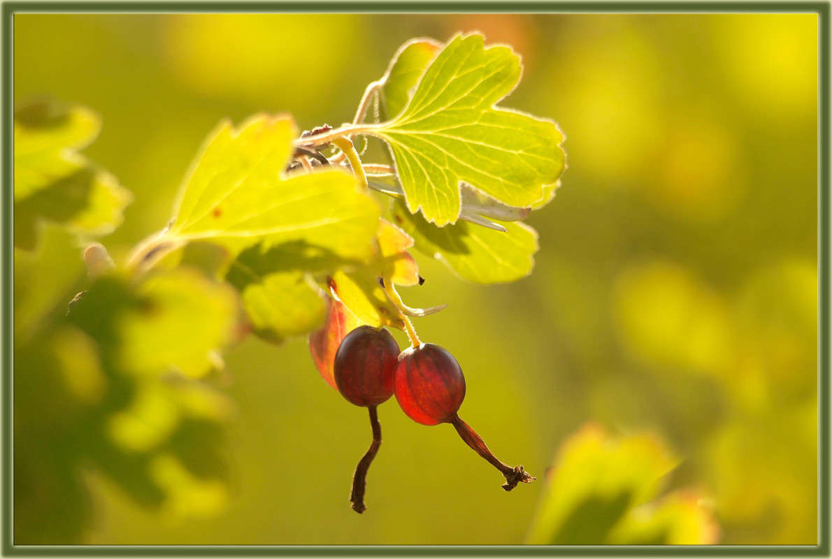 ���������� ����� ������  �� PhotoGeek.ru #������ ��� �������