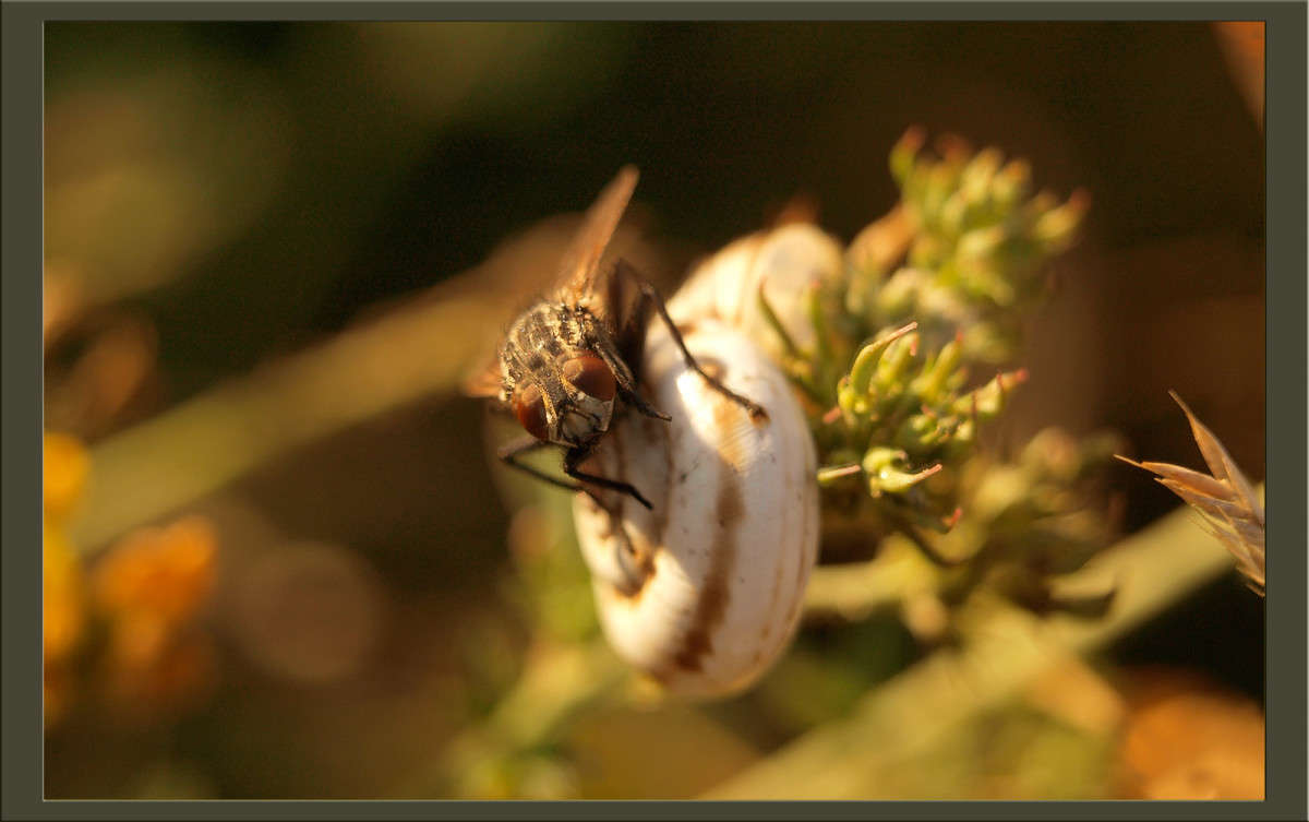 �������� 2 ����� ������  �� PhotoGeek.ru #�����