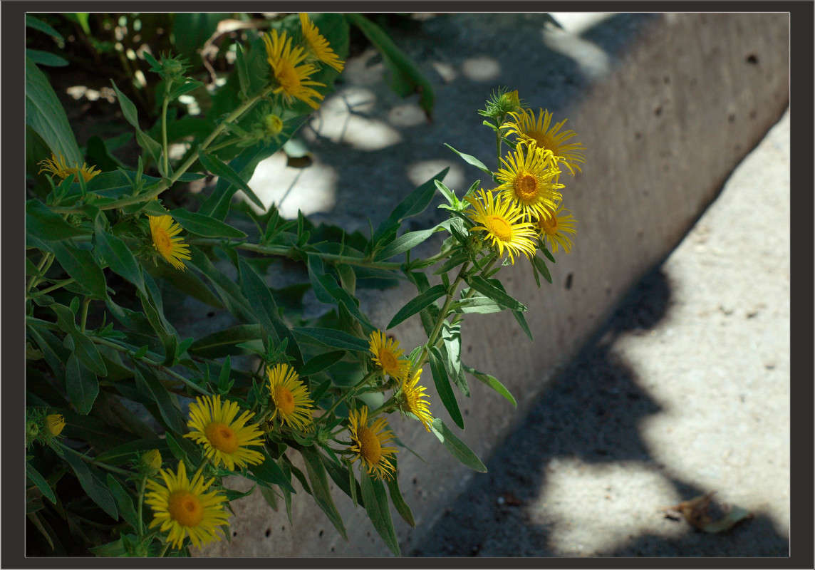 �� ���� ������ ����� ������  �� PhotoGeek.ru #�����