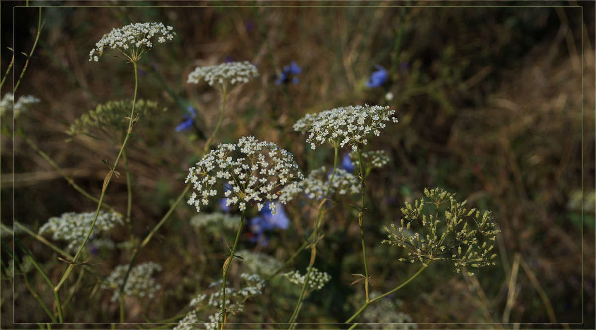 � ������ ���� 2 ����� ������  �� PhotoGeek.ru #������ ��� �������