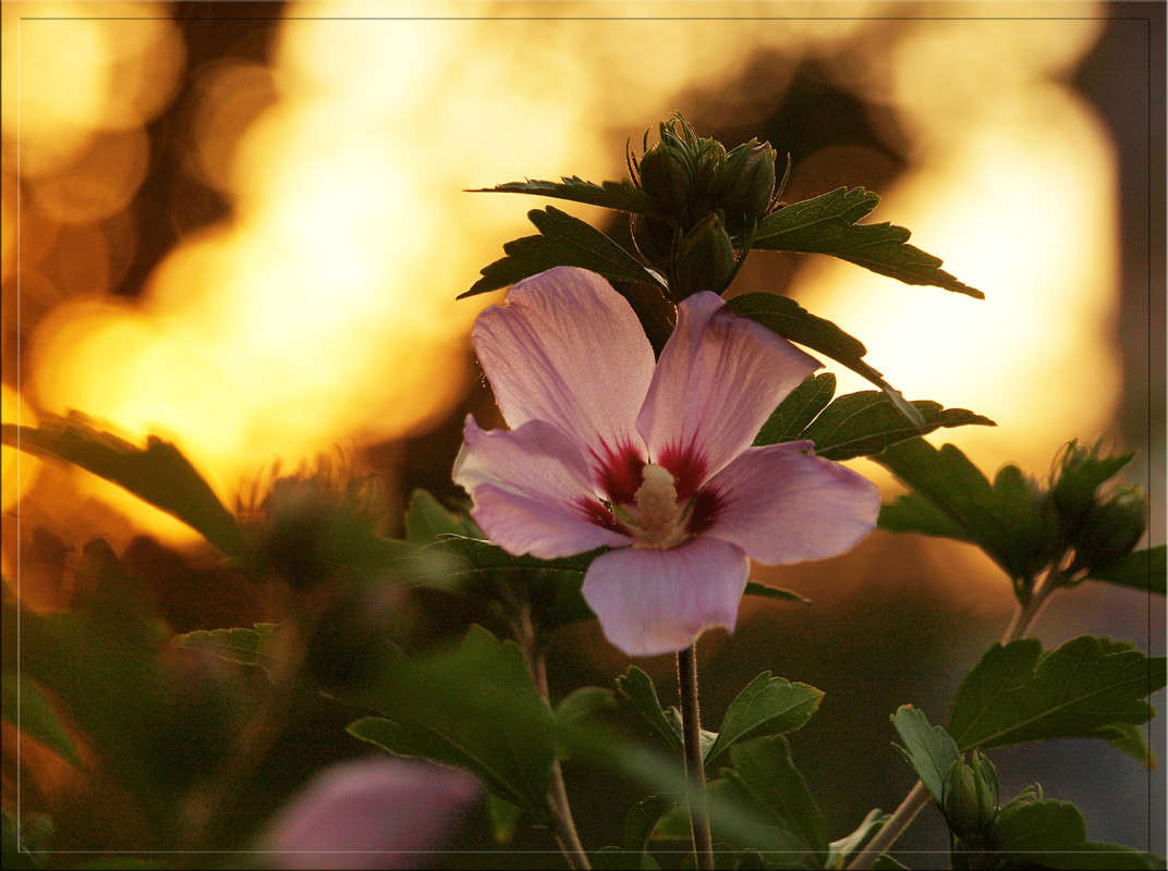 ������� ������� 5 ����� ������  �� PhotoGeek.ru #������ ��� �������
