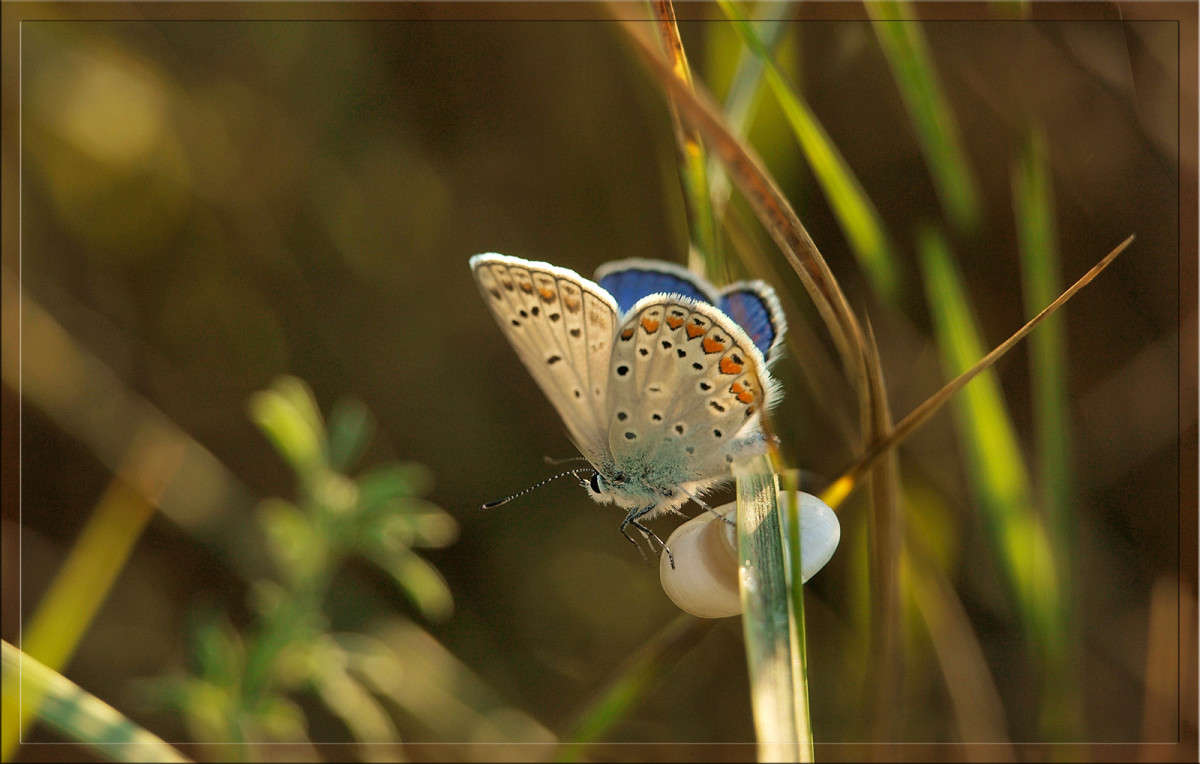� ������ ���� 10 ����� ������  �� PhotoGeek.ru #�����