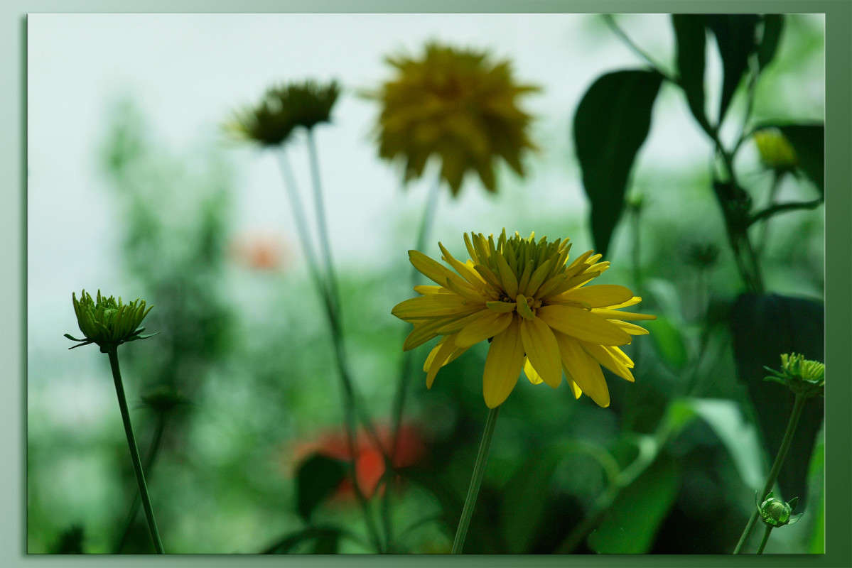 ��������� ���� ����� ������  �� PhotoGeek.ru #������ ��� �������
