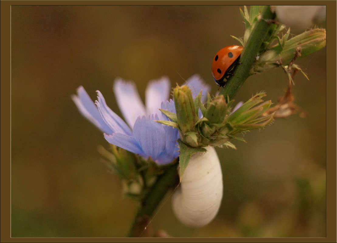 ������� � ������ ����� ������  �� PhotoGeek.ru #�����