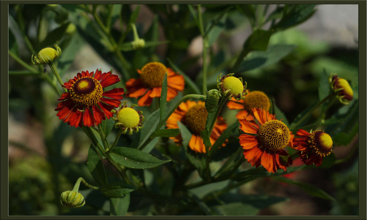 ������� ������� ����� ������  �� PhotoGeek.ru #������ ��� �������