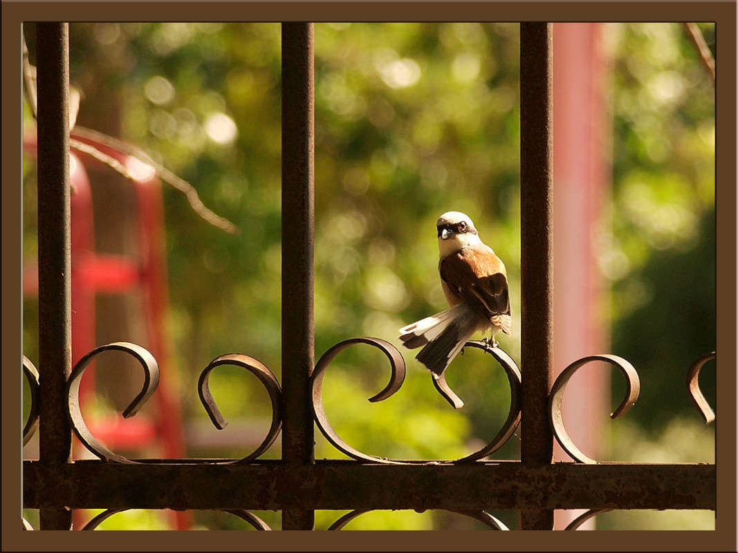 �� ��������� ����� ������  �� PhotoGeek.ru #�������� ��� #������ ��� �������