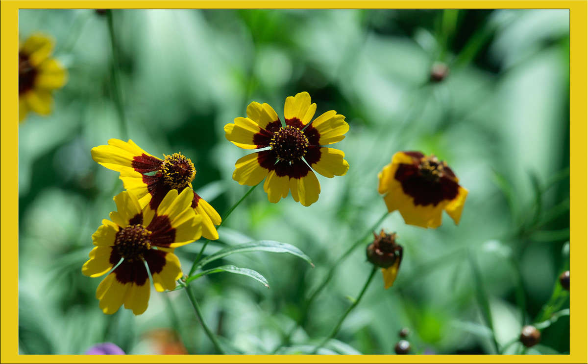 ������� � ������ ����� ������  �� PhotoGeek.ru #������ ��� �������