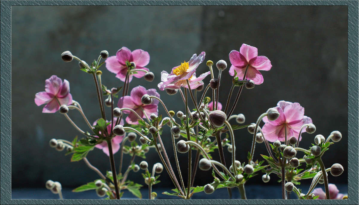 ������ ������ ����� ������  �� PhotoGeek.ru #������ ��� �������