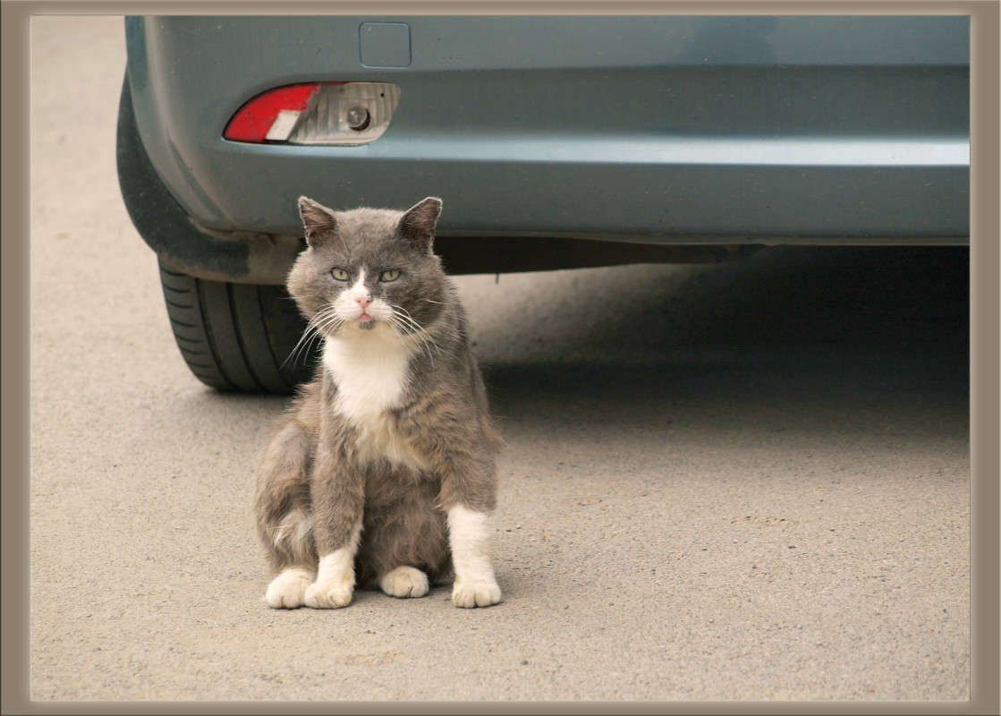 ������� ����� ���� ����� ������  �� PhotoGeek.ru #�������� ���