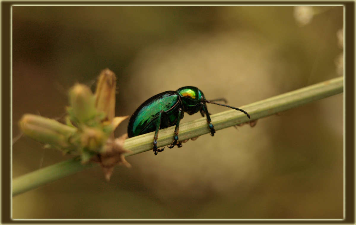 �� ����� ����� ������  �� PhotoGeek.ru #�����