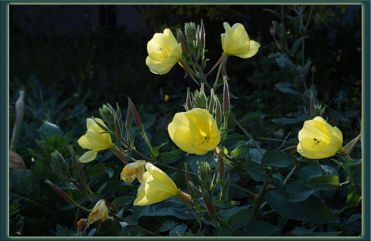 ��� �� ����� 6 ����� ������  �� PhotoGeek.ru #������ ��� �������