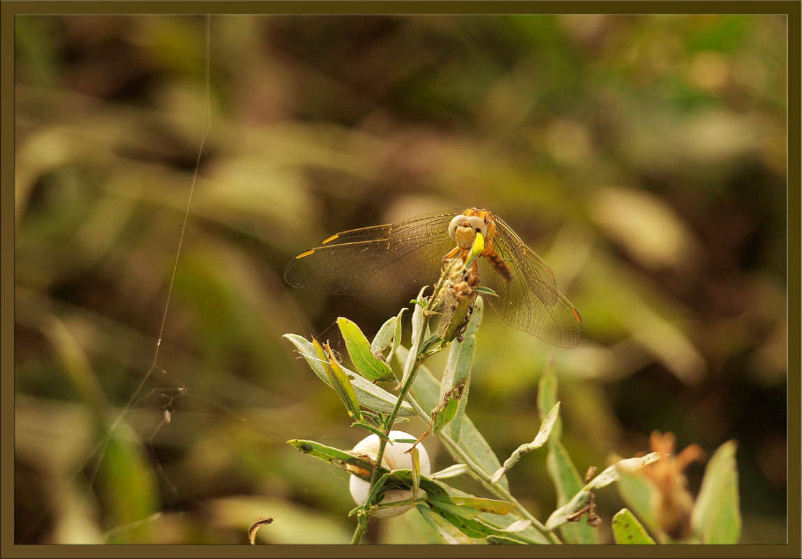 �������� � ��� ����� ������  �� PhotoGeek.ru #�����