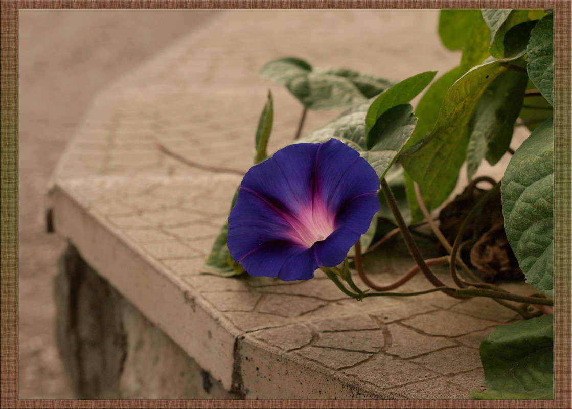 ��� �� ����� 9 ����� ������  �� PhotoGeek.ru #������ ��� �������