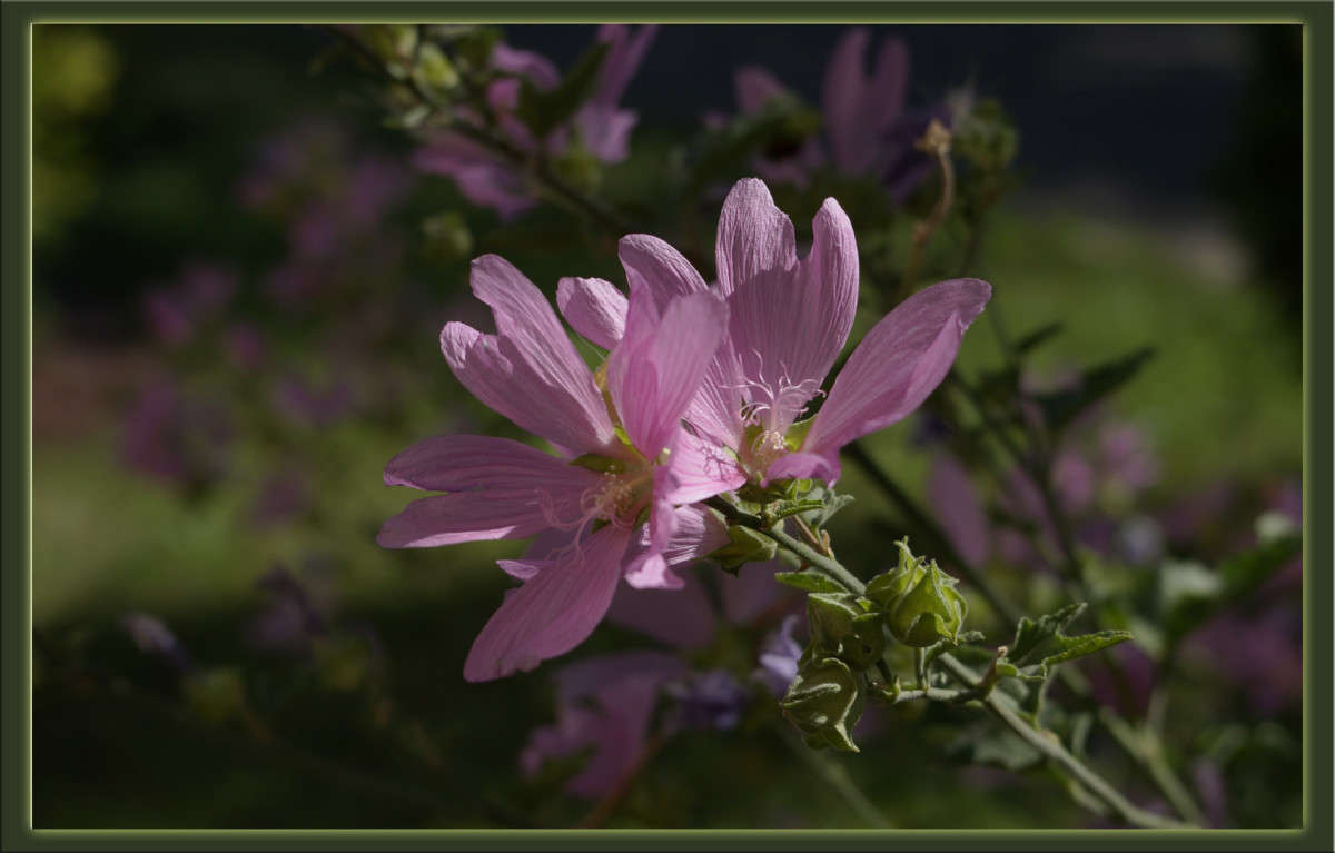 ��� �� ����� 12 ����� ������  �� PhotoGeek.ru #������ ��� �������