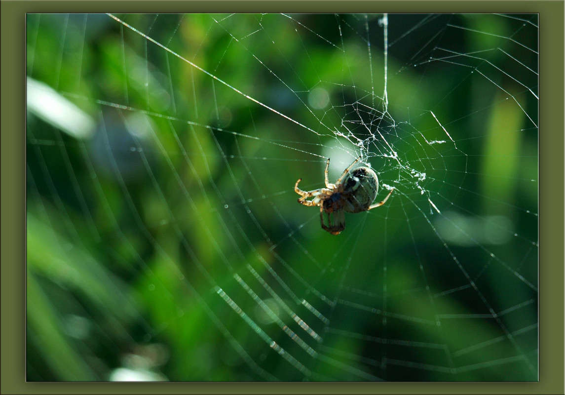 �������� ����� ������  �� PhotoGeek.ru #�����