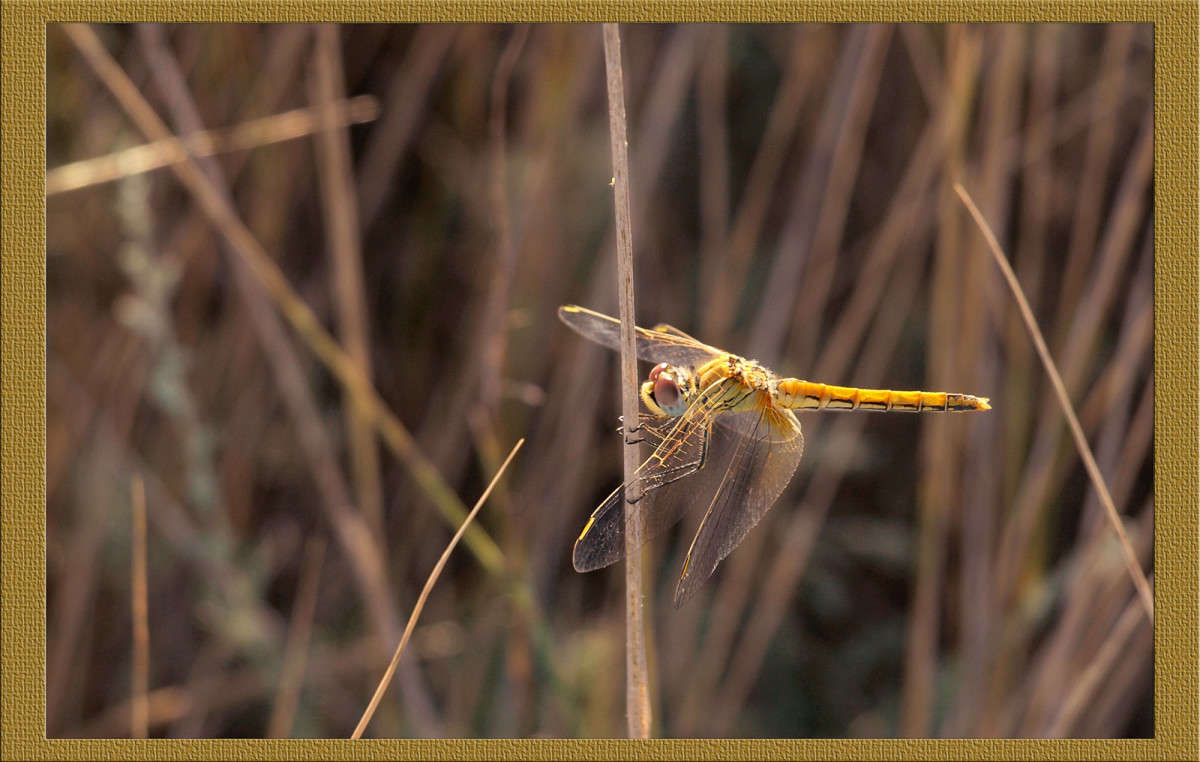 �������� � ����� ��������� ����� ������  �� PhotoGeek.ru #�����