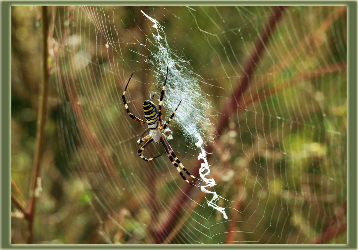 �������� 2 ����� ������  �� PhotoGeek.ru #�����