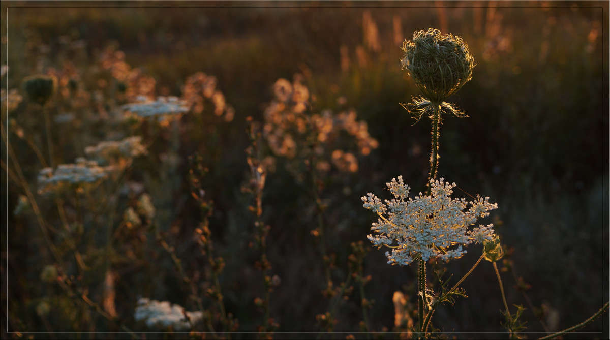 �������� 8 ����� ������  �� PhotoGeek.ru #������ ��� �������