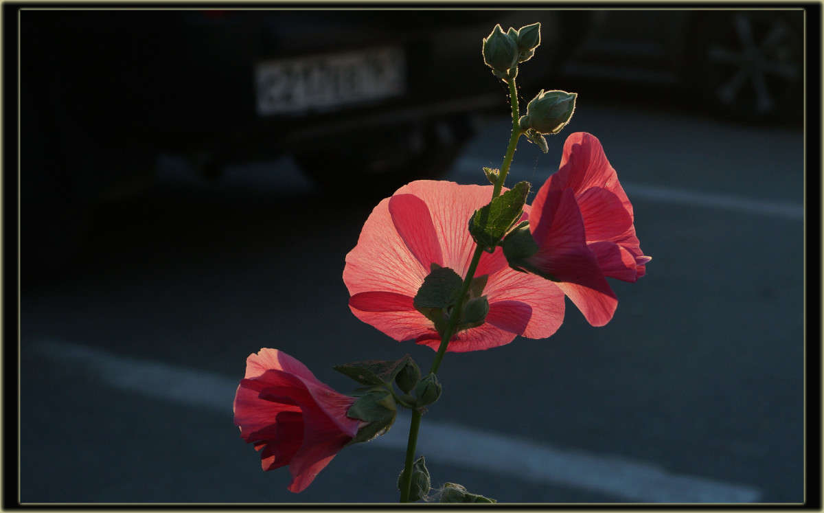 �� ����������� ����� ������  �� PhotoGeek.ru #�������� ����������