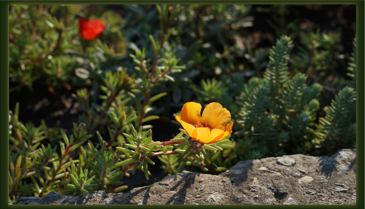 ��� �� ����� 17 ����� ������  �� PhotoGeek.ru #������ ��� �������