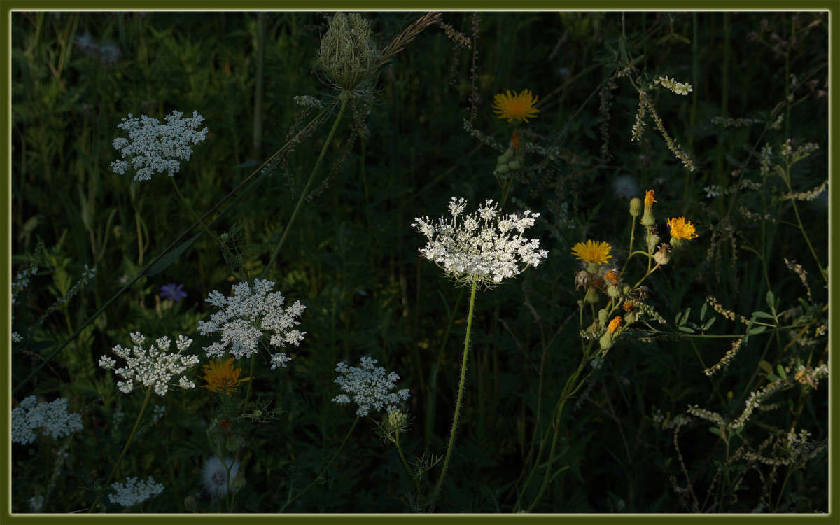 ��� �� ����� 20 ����� ������  �� PhotoGeek.ru #������ ��� �������