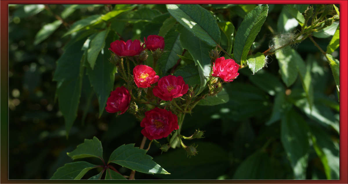 ��������� ����� ������  �� PhotoGeek.ru #������ ��� �������