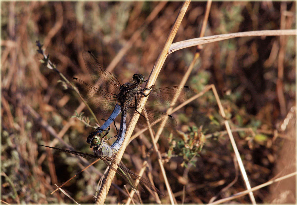 ����� ����� ��� ��� �� ������ ����� ������  �� PhotoGeek.ru #�������� ���